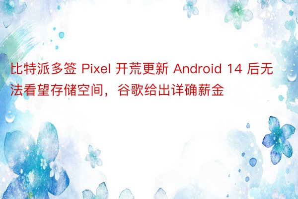 比特派多签 Pixel 开荒更新 Android 14 后无法看望存储空间，谷歌给出详确薪金