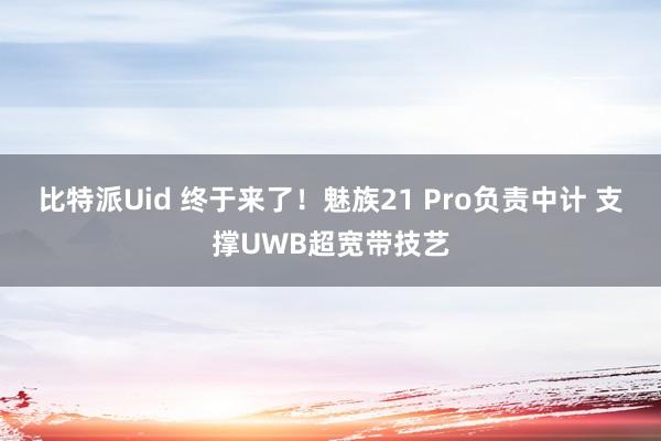 比特派Uid 终于来了！魅族21 Pro负责中计 支撑UWB超宽带技艺
