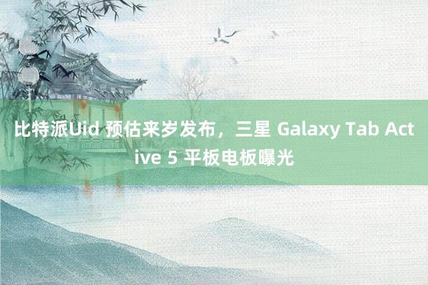 比特派Uid 预估来岁发布，三星 Galaxy Tab Active 5 平板电板曝光