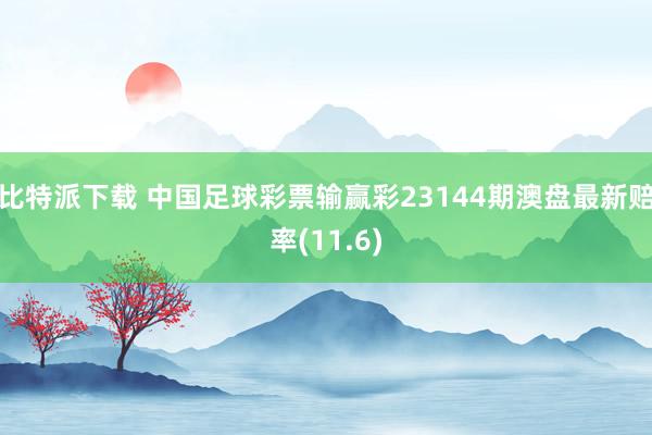 比特派下载 中国足球彩票输赢彩23144期澳盘最新赔率(11.6)