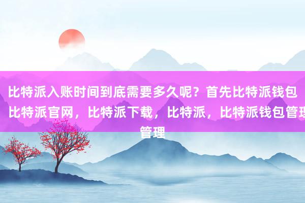 比特派入账时间到底需要多久呢？首先比特派钱包，比特派官网，比特派下载，比特派，比特派钱包管理