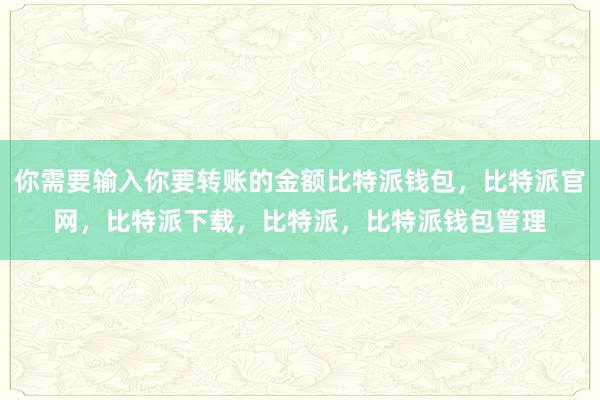 你需要输入你要转账的金额比特派钱包，比特派官网，比特派下载，比特派，比特派钱包管理