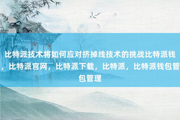 比特派技术将如何应对挤掉线技术的挑战比特派钱包，比特派官网，比特派下载，比特派，比特派钱包管理