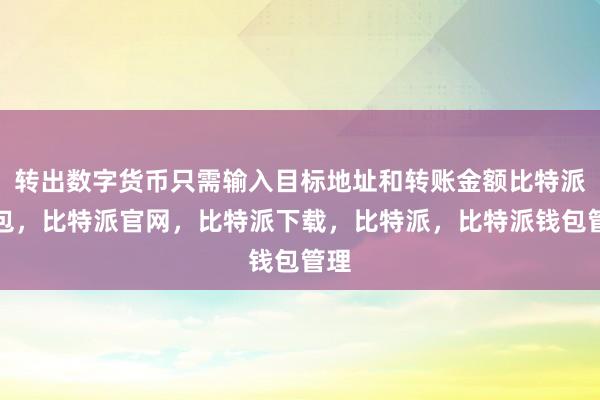 转出数字货币只需输入目标地址和转账金额比特派钱包，比特派官网，比特派下载，比特派，比特派钱包管理