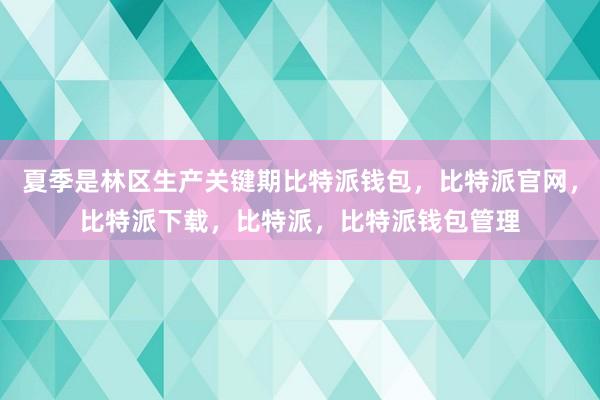 夏季是林区生产关键期比特派钱包，比特派官网，比特派下载，比特派，比特派钱包管理