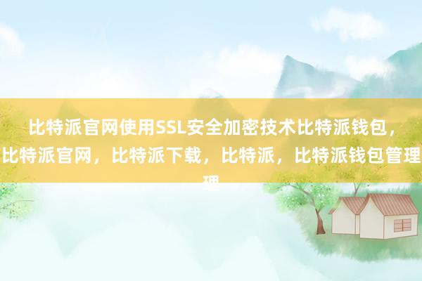 比特派官网使用SSL安全加密技术比特派钱包，比特派官网，比特派下载，比特派，比特派钱包管理