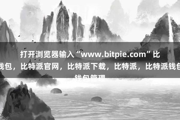 打开浏览器输入“www.bitpie.com”比特派钱包，比特派官网，比特派下载，比特派，比特派钱包管理