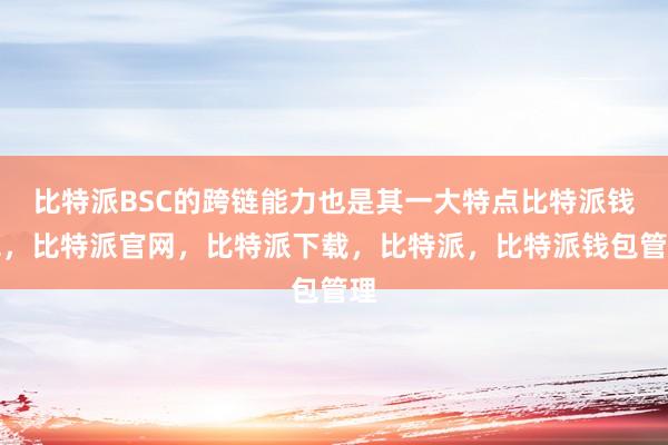 比特派BSC的跨链能力也是其一大特点比特派钱包，比特派官网，比特派下载，比特派，比特派钱包管理