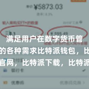 满足用户在数字货币管理过程中的各种需求比特派钱包，比特派官网，比特派下载，比特派，比特派钱包管理